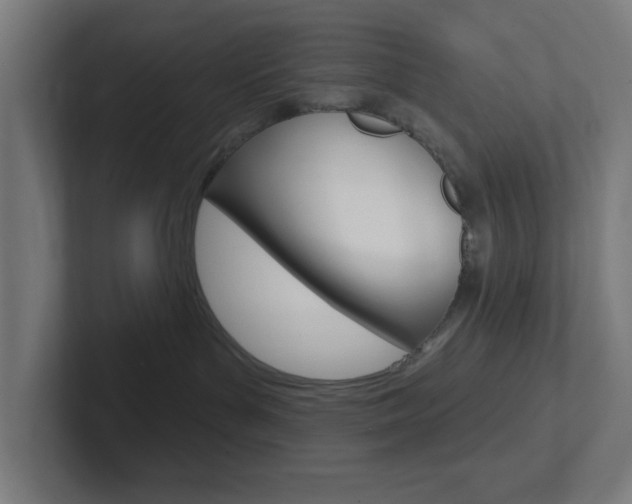 X0000102410143200808011024