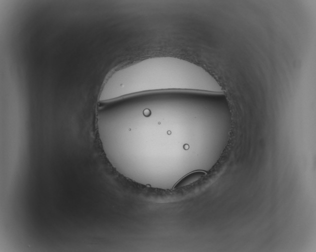 X0000102410144200808011024