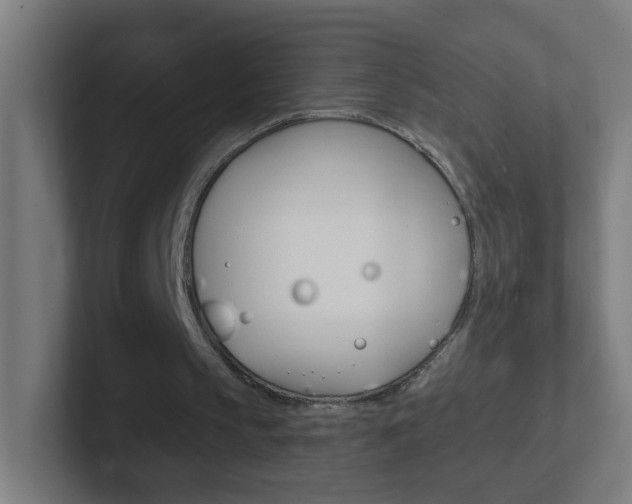 X0000102410145200808011023