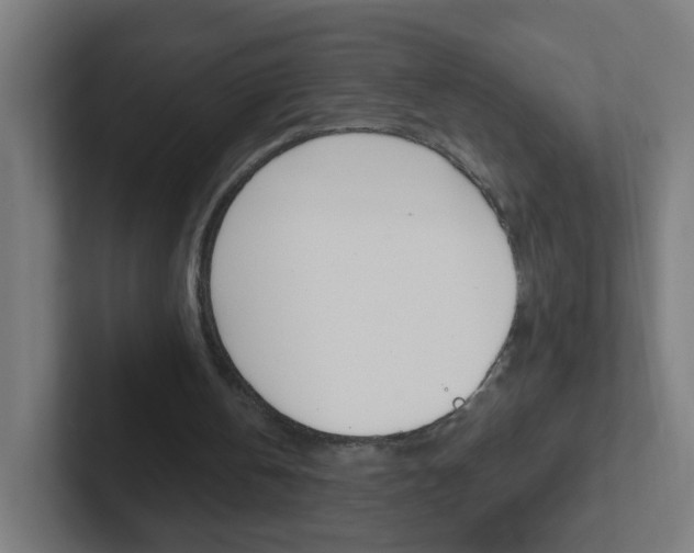 X0000102410146200808011023