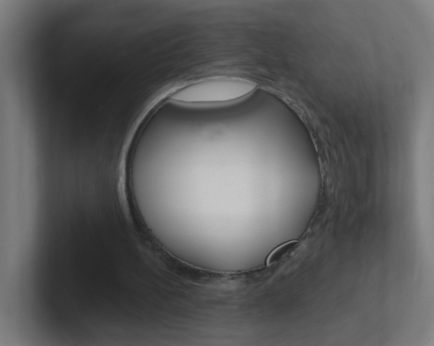 X0000102410148200808011023