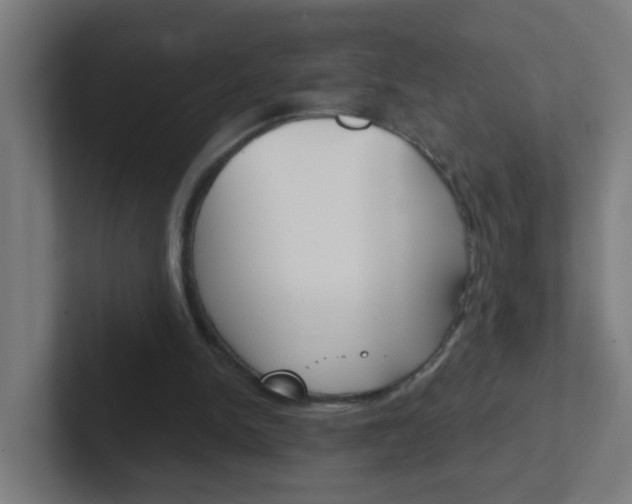 X0000102410150200808011023