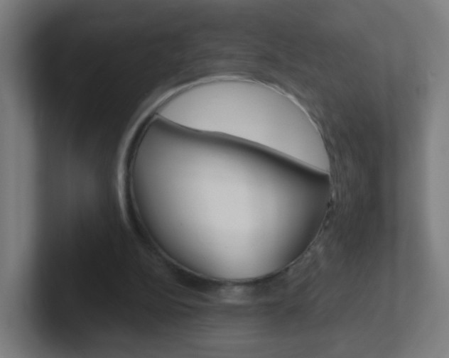 X0000102410152200808011023