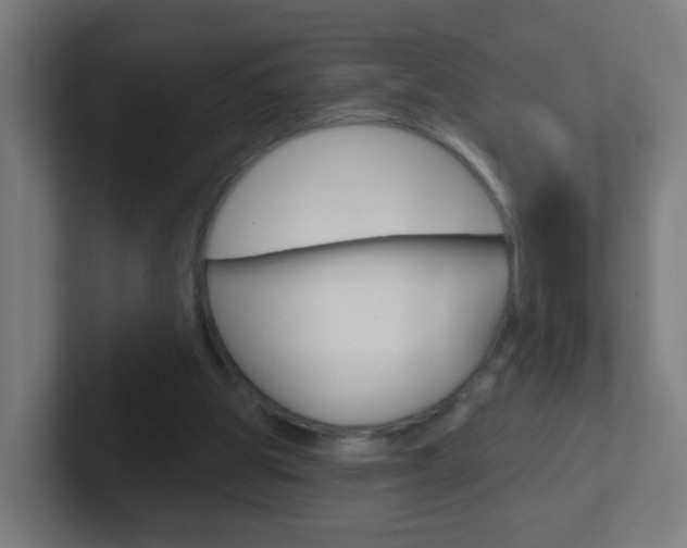 X0000102410153200808011023