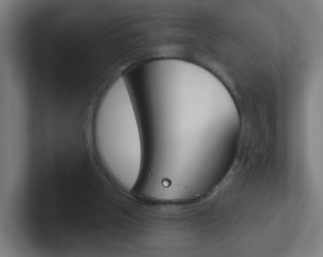 X0000102410154200808011023