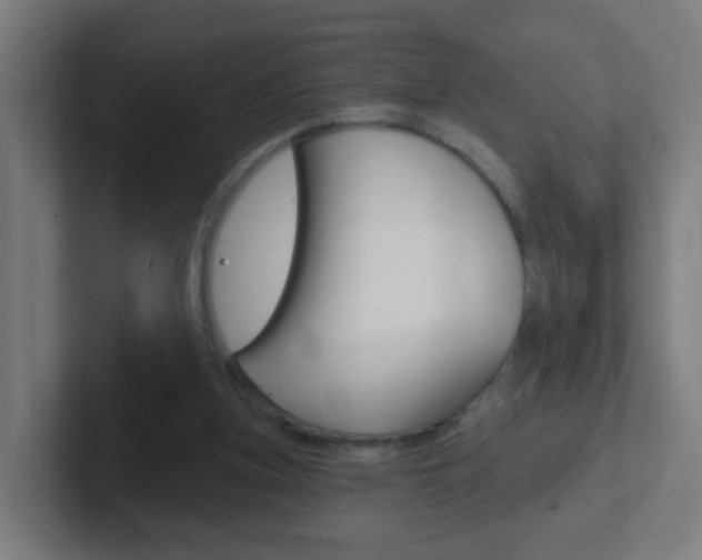 X0000102410155200808011023