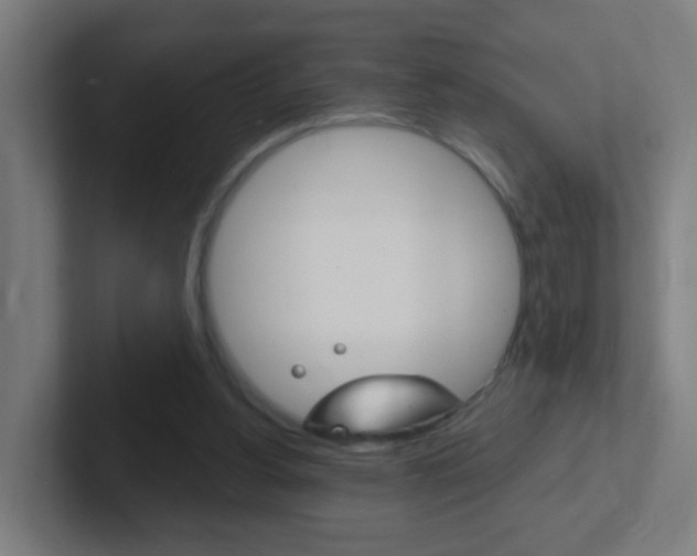 X0000102410156200808011023