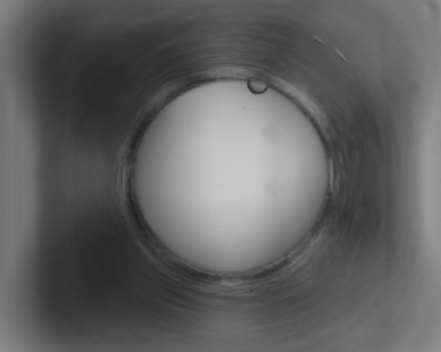X0000102410157200808011023