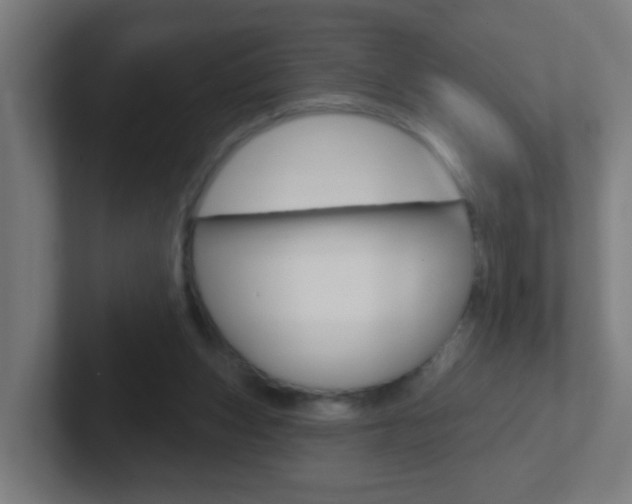 X0000102410159200808011023