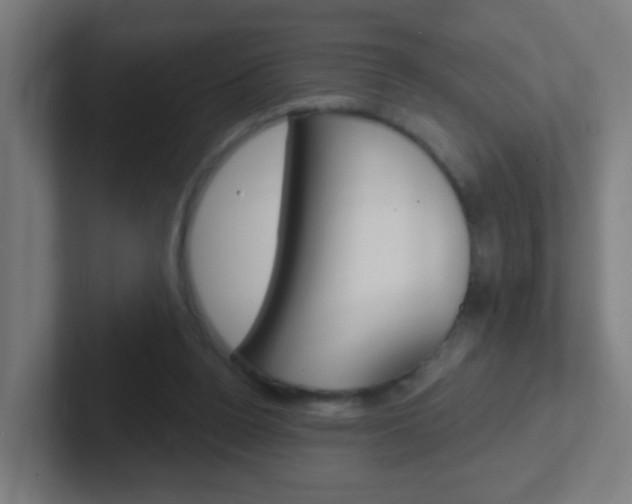X0000102410160200808011023