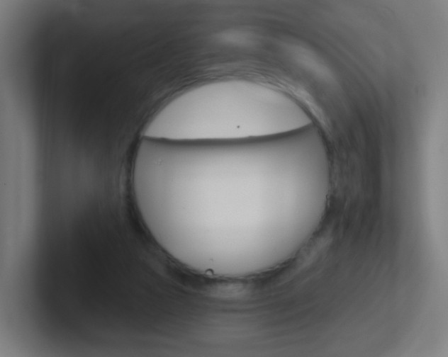 X0000102410161200808011023