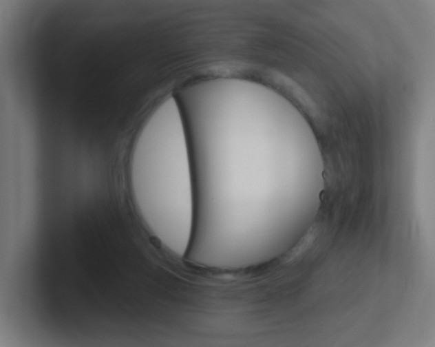 X0000102410163200808011023
