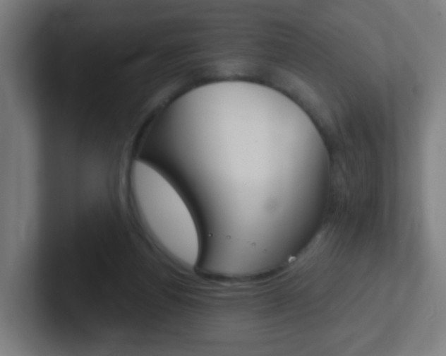 X0000102410164200808011023