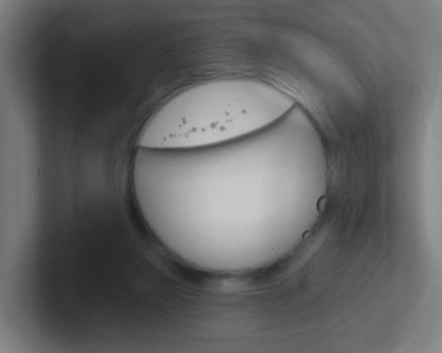 X0000102410165200808011023