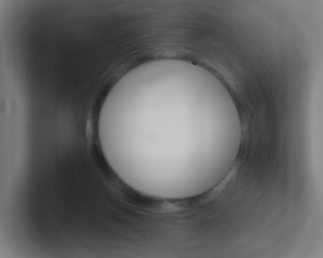 X0000102410166200808011023