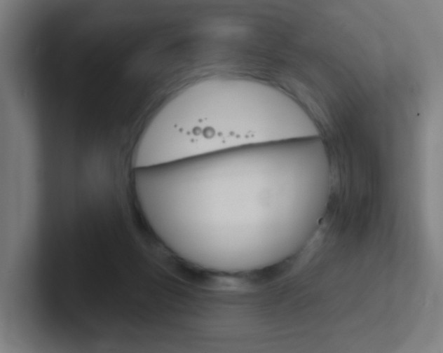 X0000102410167200808011023
