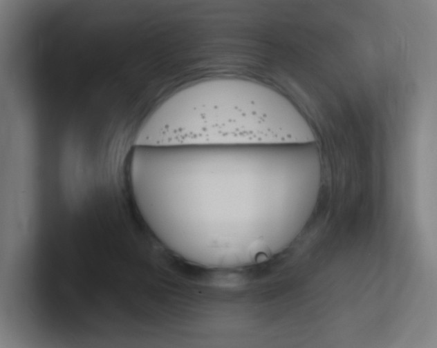 X0000102410169200808011023