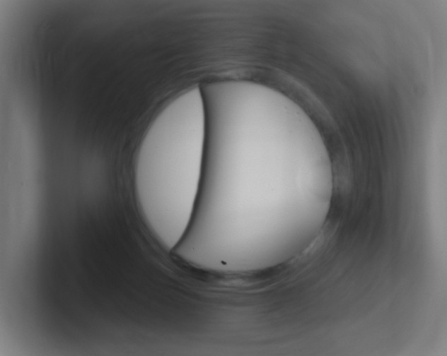 X0000102410171200808011023