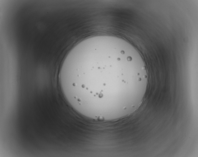 X0000102410172200808011023