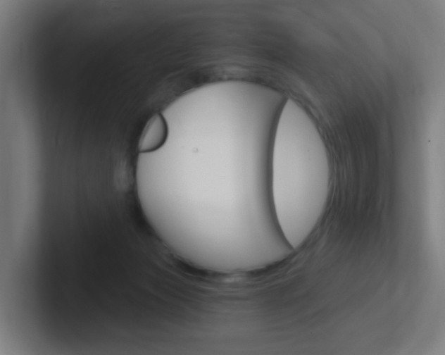 X0000102410173200808011023