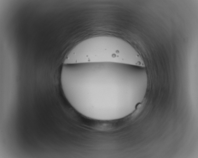X0000102410174200808011023
