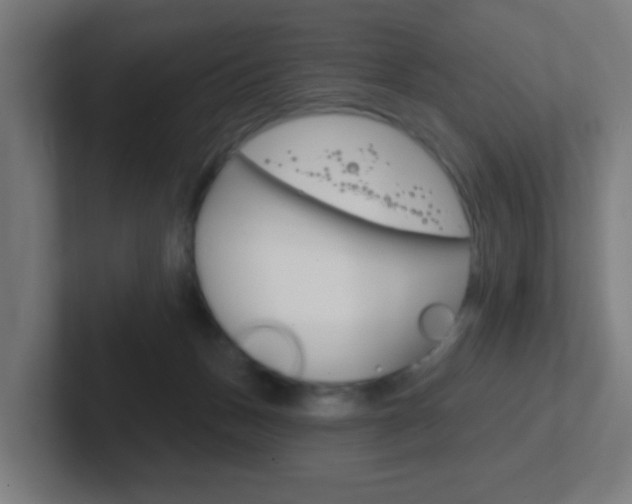 X0000102410175200808011023