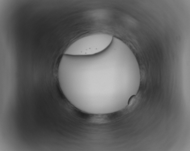 X0000102410179200808011023