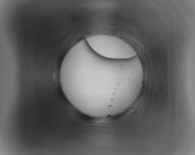 X0000102410181200808011023