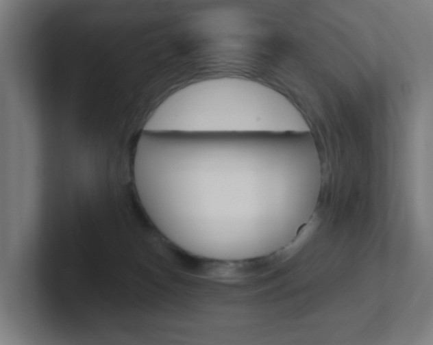 X0000102410182200808011023