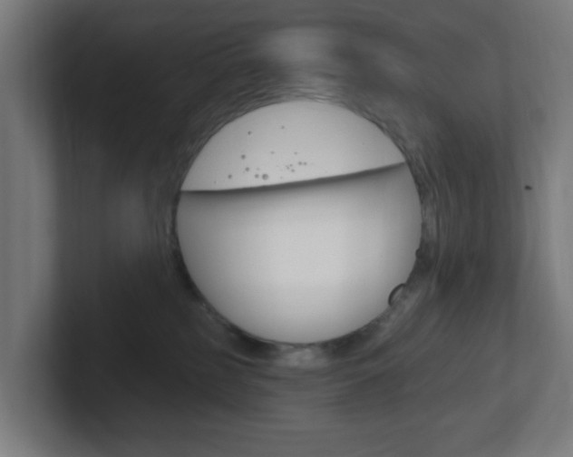 X0000102410185200808011023