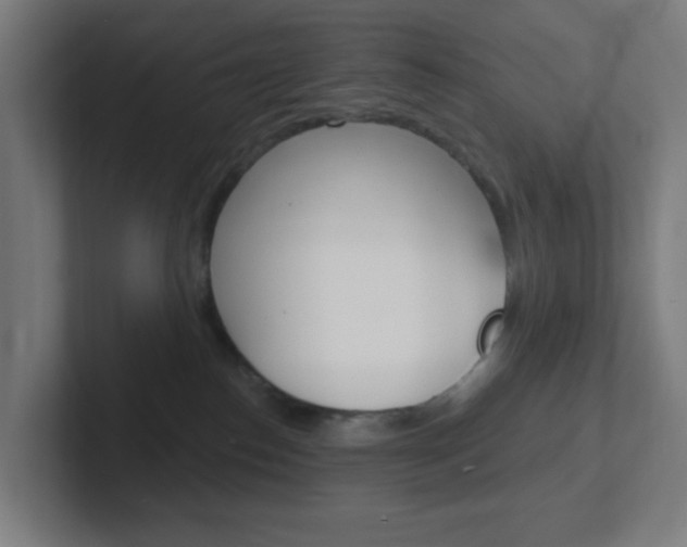 X0000102410186200808011023