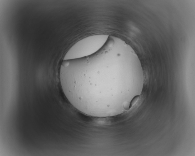 X0000102410187200808011024