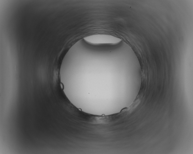 X0000102410188200808011024