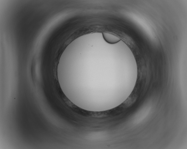 X0000102410189200808011024