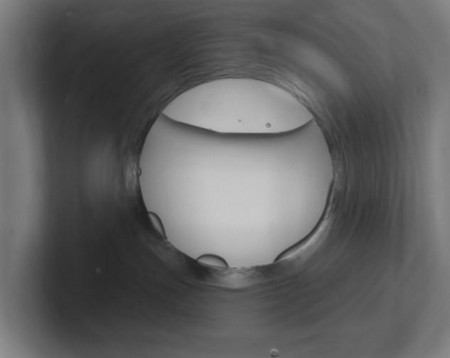 X0000102410191200808011024