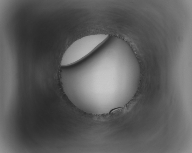X0000102410192200808011024