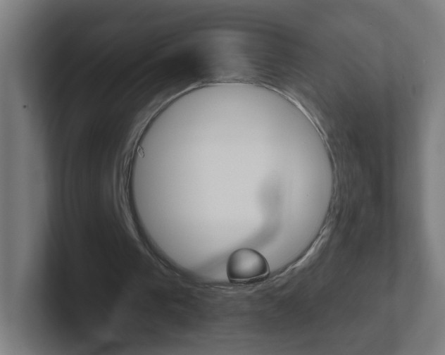X0000102410193200808011023