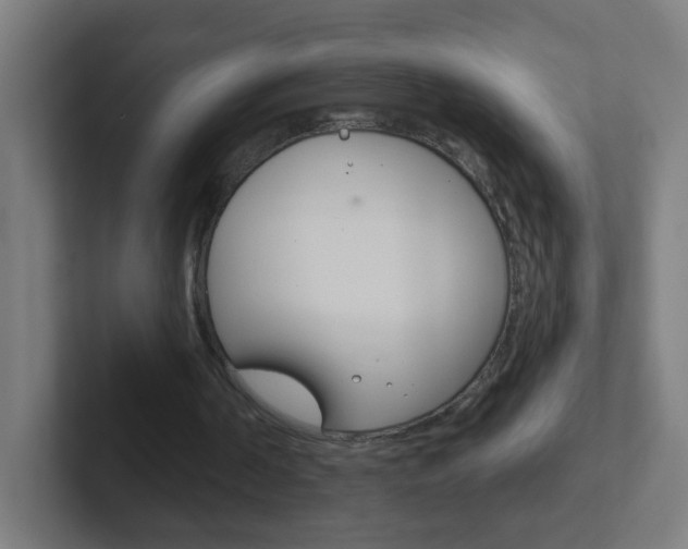 X0000102410194200808011023
