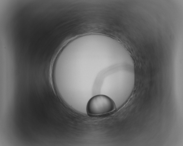 X0000102410195200808011023