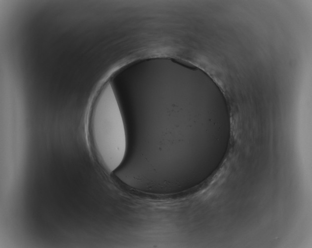 X0000102410196200808011023