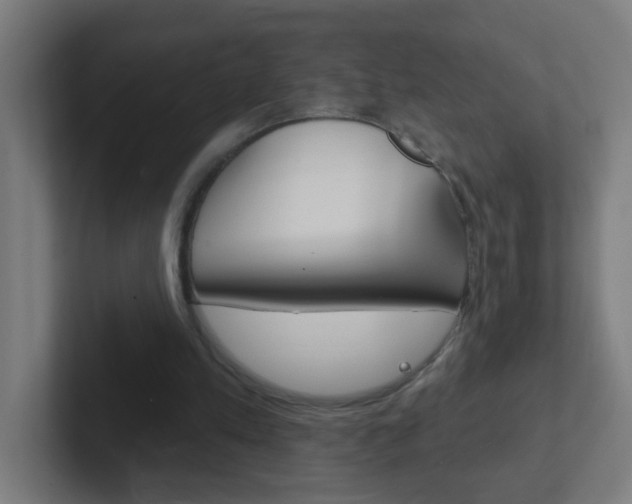 X0000102410197200808011023
