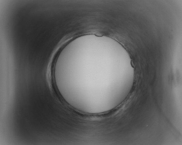 X0000102410198200808011023