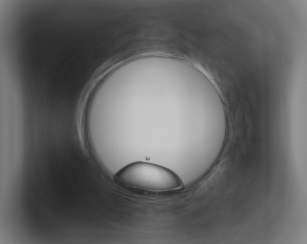 X0000102410199200808011023