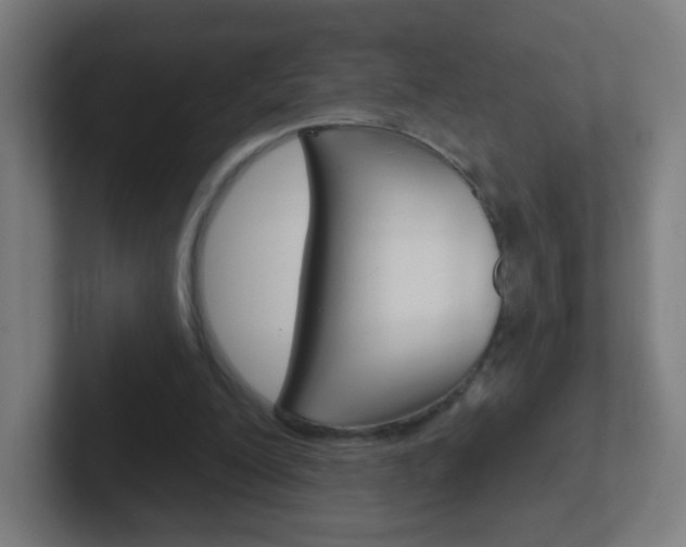 X0000102410200200808011023