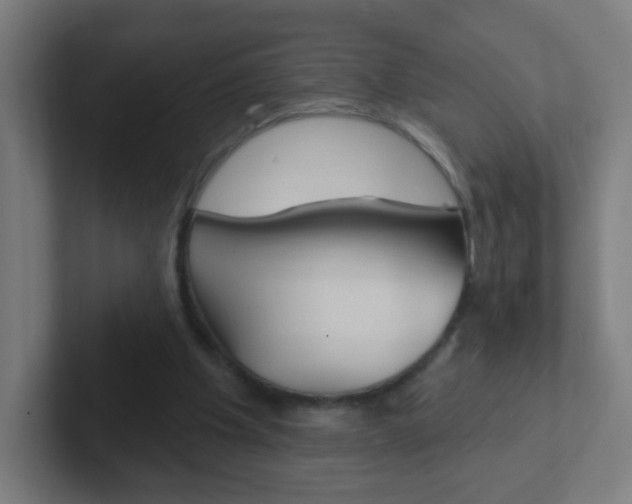 X0000102410201200808011023
