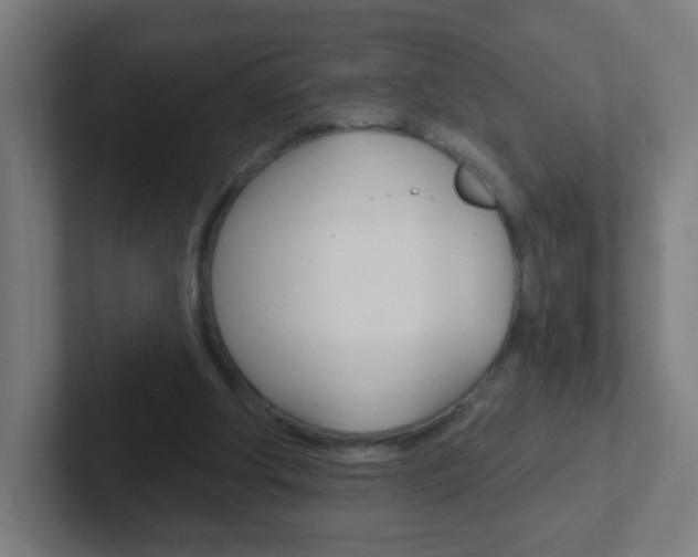 X0000102410202200808011023