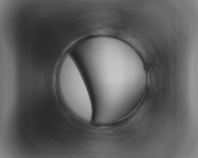 X0000102410204200808011023