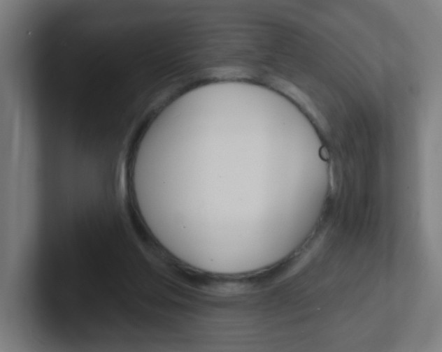X0000102410205200808011023