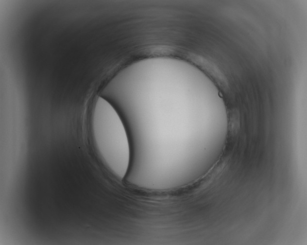 X0000102410206200808011023