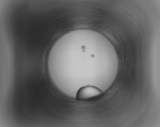 X0000102410207200808011023